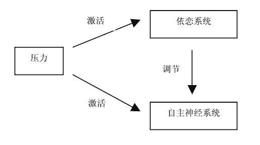 依恋的神经生理机制