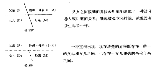 对一个分裂性再婚家庭的结构治疗