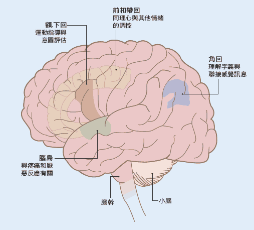 破镜理论：解读自闭症