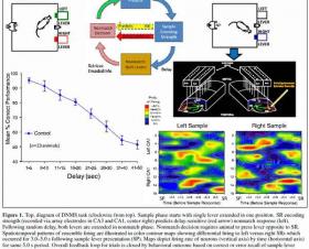 Scientists Turn Memories Off and On With Flip of Switch - 内蒙