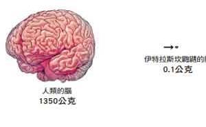 人类心智的起源 - 内蒙古心理网