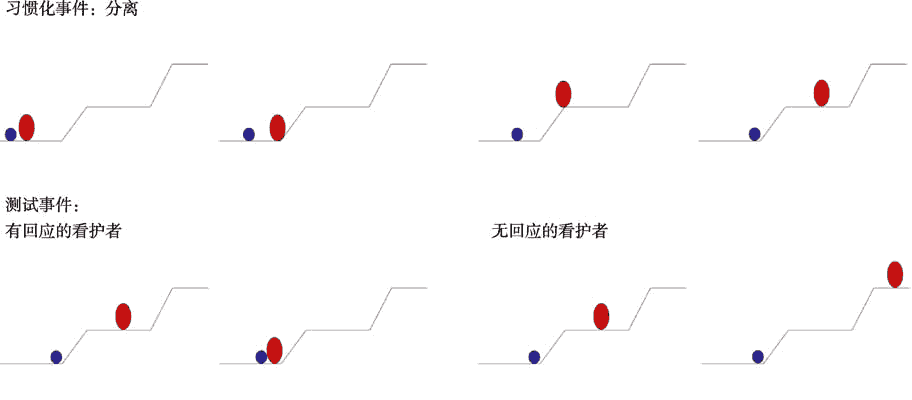 从母亲的敏感性到学步儿的依恋安全性：内部工