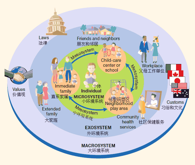 布朗芬布伦纳的发展心理学生态系统ecological sy