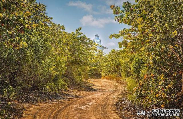 心理测试：茫茫人海中总和他（她）擦肩而过，测你为何错过真爱？