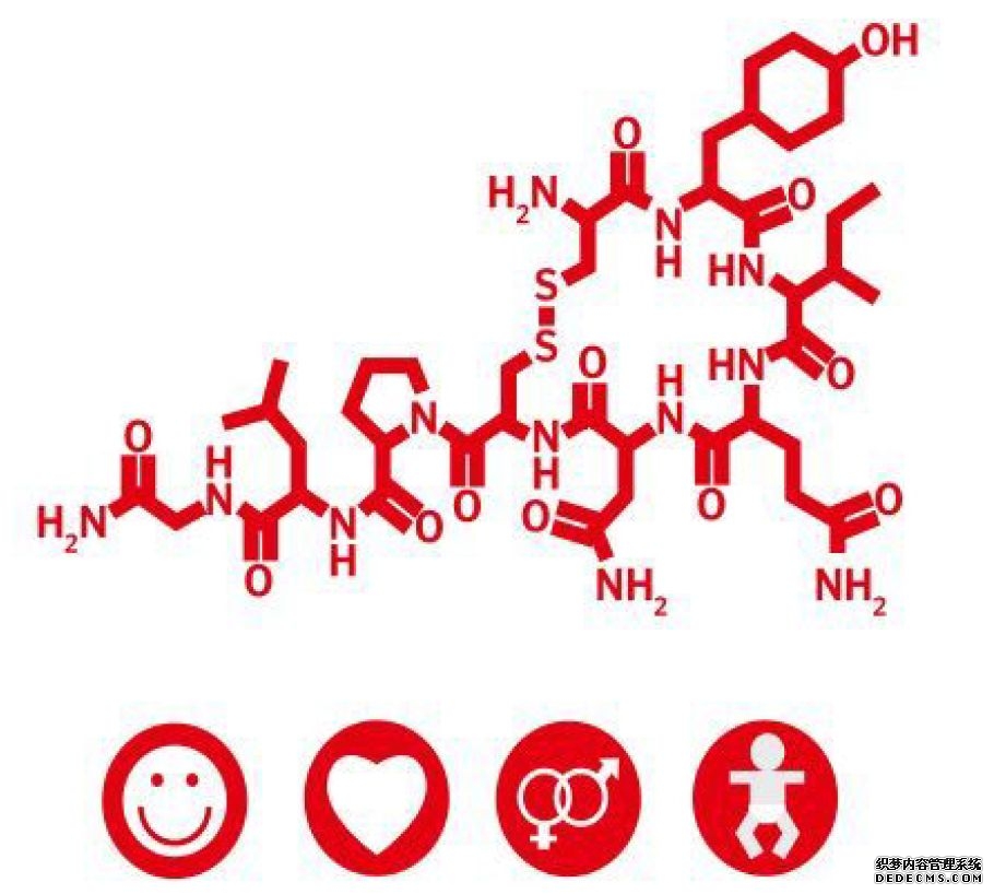 影响你情绪的神经递质