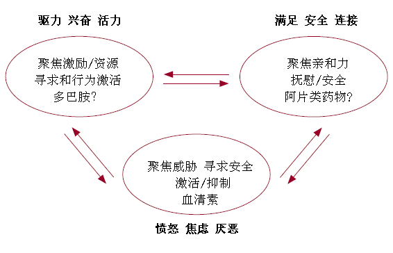 慈悲是残忍的解药：慈悲集中疗法创始人Paul Gi