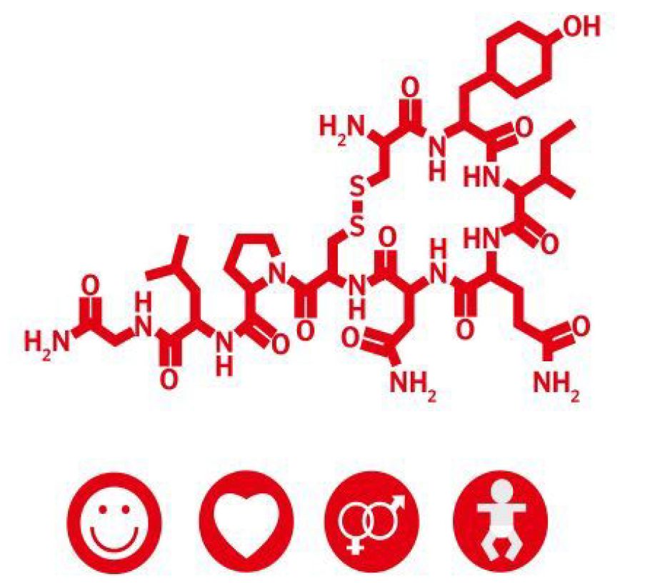 影响你情绪的神经递质